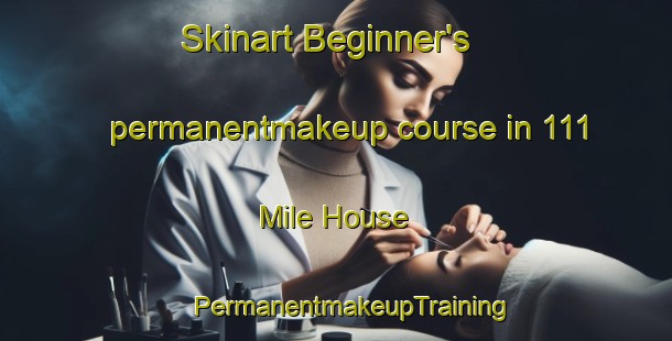 Skinart Beginner's permanentmakeup course in 111 Mile House | #PermanentmakeupTraining #PermanentmakeupClasses #SkinartTraining-Canada