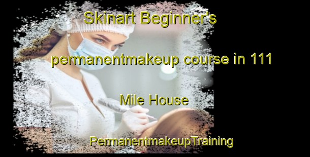 Skinart Beginner's permanentmakeup course in 111 Mile House | #PermanentmakeupTraining #PermanentmakeupClasses #SkinartTraining-Canada