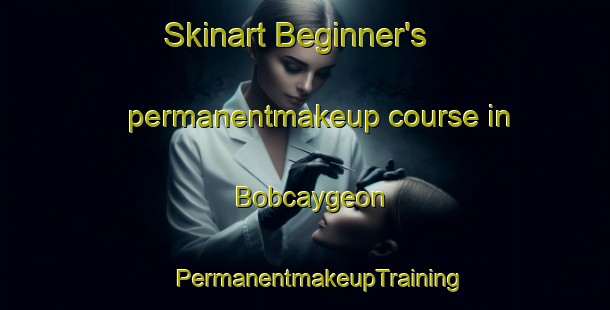 Skinart Beginner's permanentmakeup course in Bobcaygeon | #PermanentmakeupTraining #PermanentmakeupClasses #SkinartTraining-Canada