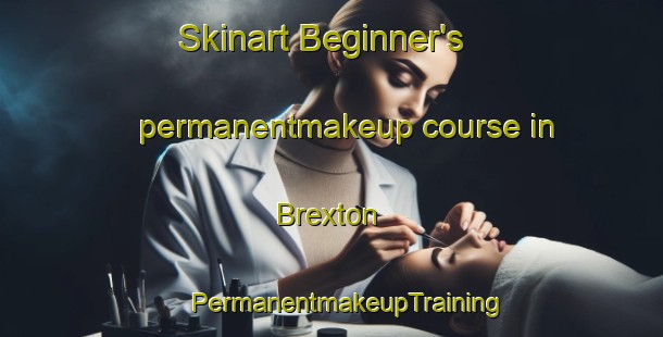 Skinart Beginner's permanentmakeup course in Brexton | #PermanentmakeupTraining #PermanentmakeupClasses #SkinartTraining-Canada