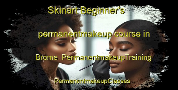 Skinart Beginner's permanentmakeup course in Brome | PermanentmakeupTraining | PermanentmakeupClasses | SkinartTraining-Canada