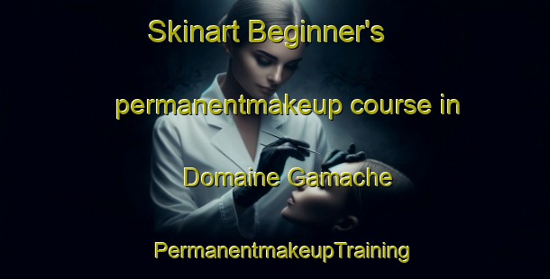 Skinart Beginner's permanentmakeup course in Domaine Gamache | PermanentmakeupTraining | PermanentmakeupClasses | SkinartTraining-Canada
