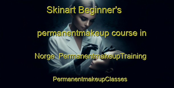 Skinart Beginner's permanentmakeup course in Norge | PermanentmakeupTraining | PermanentmakeupClasses | SkinartTraining-Canada