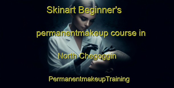 Skinart Beginner's permanentmakeup course in North Chegoggin | PermanentmakeupTraining | PermanentmakeupClasses | SkinartTraining-Canada