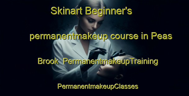 Skinart Beginner's permanentmakeup course in Peas Brook | PermanentmakeupTraining | PermanentmakeupClasses | SkinartTraining-Canada