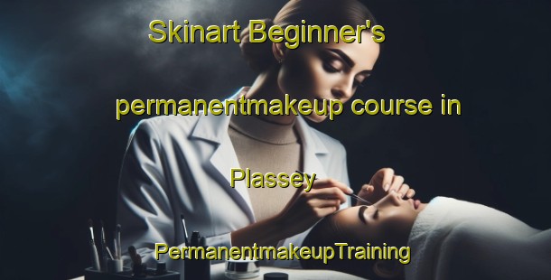 Skinart Beginner's permanentmakeup course in Plassey | PermanentmakeupTraining | PermanentmakeupClasses | SkinartTraining-Canada