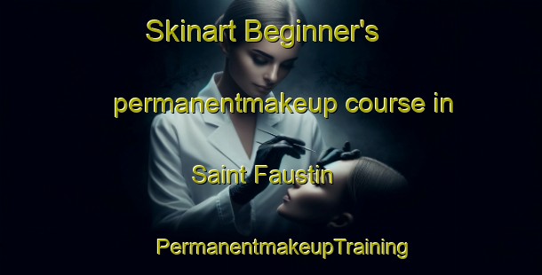 Skinart Beginner's permanentmakeup course in Saint Faustin | #PermanentmakeupTraining #PermanentmakeupClasses #SkinartTraining-Canada