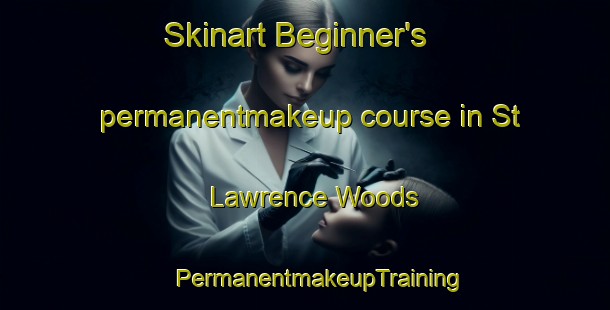 Skinart Beginner's permanentmakeup course in St  Lawrence Woods | #PermanentmakeupTraining #PermanentmakeupClasses #SkinartTraining-Canada