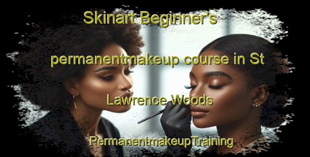 Skinart Beginner's permanentmakeup course in St  Lawrence Woods | #PermanentmakeupTraining #PermanentmakeupClasses #SkinartTraining-Canada