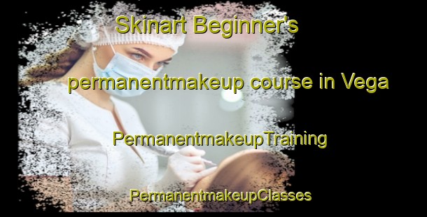 Skinart Beginner's permanentmakeup course in Vega | PermanentmakeupTraining | PermanentmakeupClasses | SkinartTraining-Canada