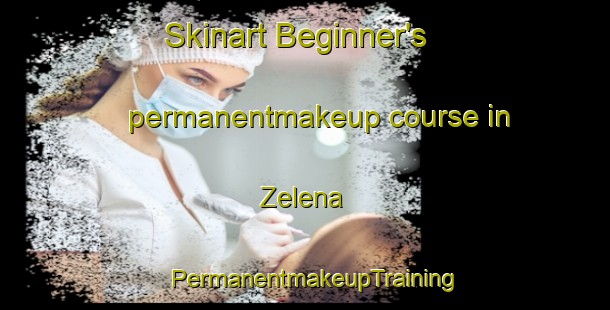 Skinart Beginner's permanentmakeup course in Zelena | PermanentmakeupTraining | PermanentmakeupClasses | SkinartTraining-Canada
