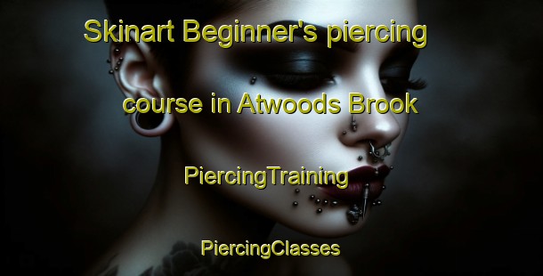 Skinart Beginner's piercing course in Atwoods Brook | #PiercingTraining #PiercingClasses #SkinartTraining-Canada