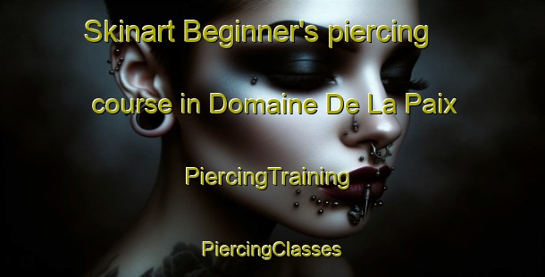 Skinart Beginner's piercing course in Domaine De La Paix | #PiercingTraining #PiercingClasses #SkinartTraining-Canada