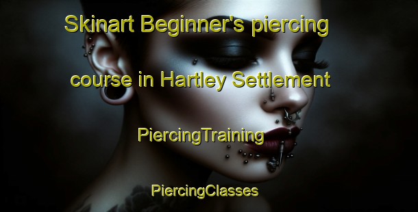 Skinart Beginner's piercing course in Hartley Settlement | PiercingTraining | PiercingClasses | SkinartTraining-Canada
