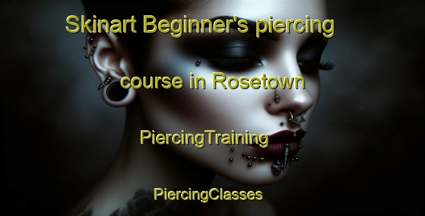 Skinart Beginner's piercing course in Rosetown | PiercingTraining | PiercingClasses | SkinartTraining-Canada