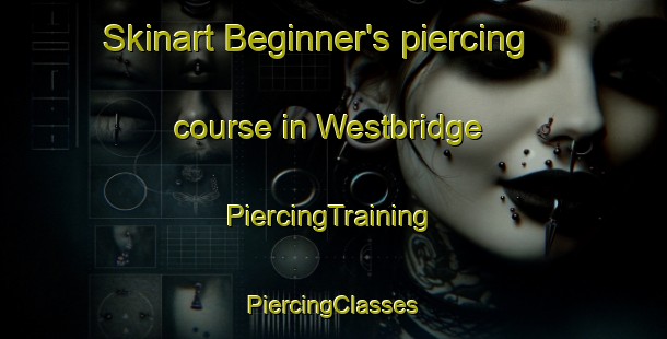 Skinart Beginner's piercing course in Westbridge | #PiercingTraining #PiercingClasses #SkinartTraining-Canada