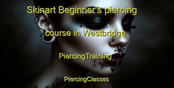 Skinart Beginner's piercing course in Westbridge | #PiercingTraining #PiercingClasses #SkinartTraining-Canada