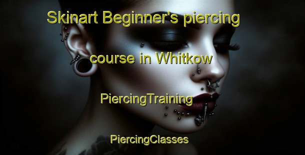 Skinart Beginner's piercing course in Whitkow | PiercingTraining | PiercingClasses | SkinartTraining-Canada