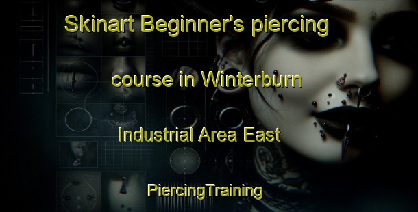 Skinart Beginner's piercing course in Winterburn Industrial Area East | #PiercingTraining #PiercingClasses #SkinartTraining-Canada