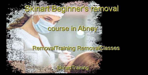 Skinart Beginner's removal course in Abney | #RemovalTraining #RemovalClasses #SkinartTraining-Canada