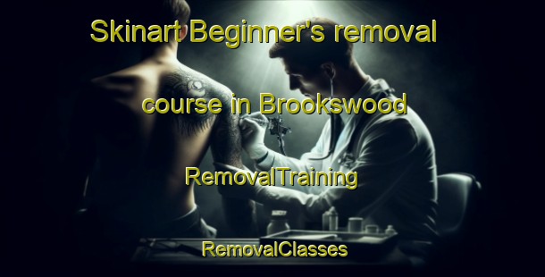 Skinart Beginner's removal course in Brookswood | RemovalTraining | RemovalClasses | SkinartTraining-Canada
