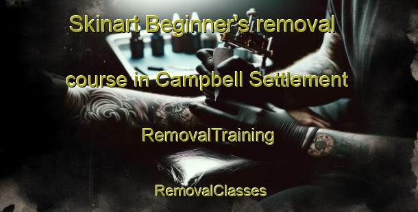 Skinart Beginner's removal course in Campbell Settlement | RemovalTraining | RemovalClasses | SkinartTraining-Canada