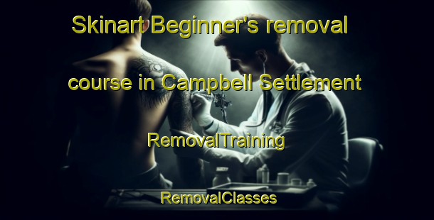Skinart Beginner's removal course in Campbell Settlement | RemovalTraining | RemovalClasses | SkinartTraining-Canada