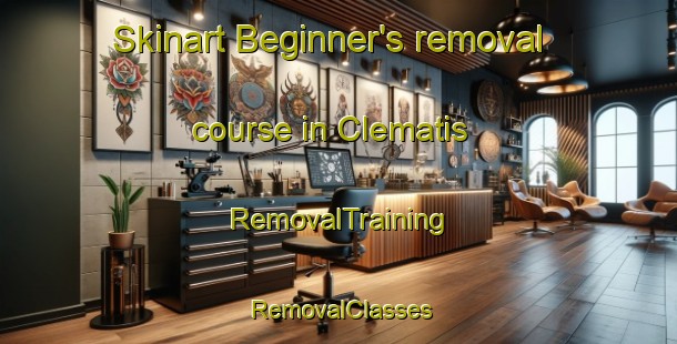 Skinart Beginner's removal course in Clematis | RemovalTraining | RemovalClasses | SkinartTraining-Canada