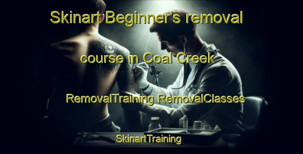 Skinart Beginner's removal course in Coal Creek | #RemovalTraining #RemovalClasses #SkinartTraining-Canada