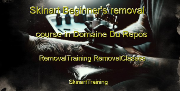 Skinart Beginner's removal course in Domaine Du Repos | #RemovalTraining #RemovalClasses #SkinartTraining-Canada