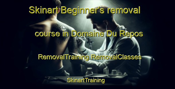 Skinart Beginner's removal course in Domaine Du Repos | #RemovalTraining #RemovalClasses #SkinartTraining-Canada