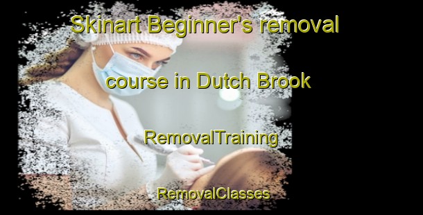 Skinart Beginner's removal course in Dutch Brook | RemovalTraining | RemovalClasses | SkinartTraining-Canada
