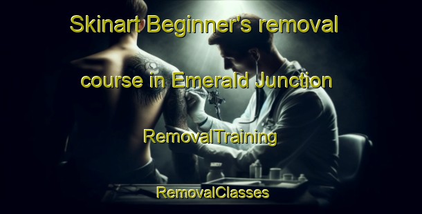Skinart Beginner's removal course in Emerald Junction | RemovalTraining | RemovalClasses | SkinartTraining-Canada