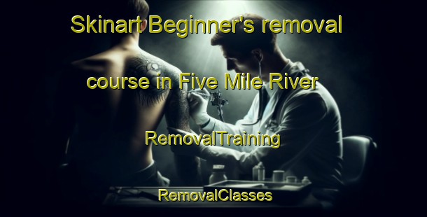 Skinart Beginner's removal course in Five Mile River | RemovalTraining | RemovalClasses | SkinartTraining-Canada