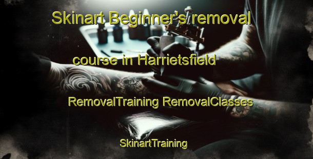 Skinart Beginner's removal course in Harrietsfield | #RemovalTraining #RemovalClasses #SkinartTraining-Canada