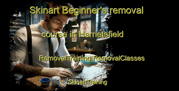 Skinart Beginner's removal course in Harrietsfield | #RemovalTraining #RemovalClasses #SkinartTraining-Canada