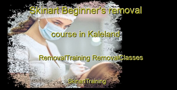 Skinart Beginner's removal course in Kaleland | #RemovalTraining #RemovalClasses #SkinartTraining-Canada