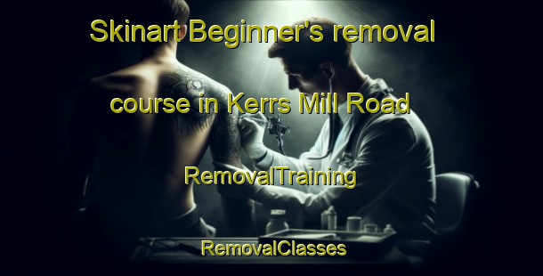 Skinart Beginner's removal course in Kerrs Mill Road | RemovalTraining | RemovalClasses | SkinartTraining-Canada