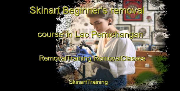 Skinart Beginner's removal course in Lac Pemichangan | #RemovalTraining #RemovalClasses #SkinartTraining-Canada