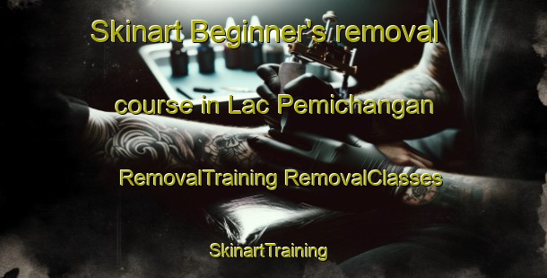 Skinart Beginner's removal course in Lac Pemichangan | #RemovalTraining #RemovalClasses #SkinartTraining-Canada