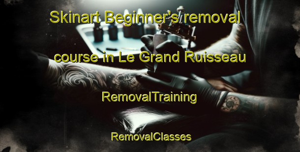 Skinart Beginner's removal course in Le Grand Ruisseau | RemovalTraining | RemovalClasses | SkinartTraining-Canada