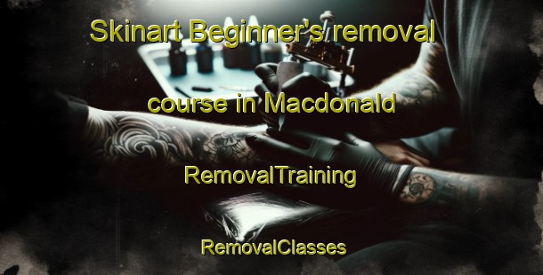 Skinart Beginner's removal course in Macdonald | RemovalTraining | RemovalClasses | SkinartTraining-Canada