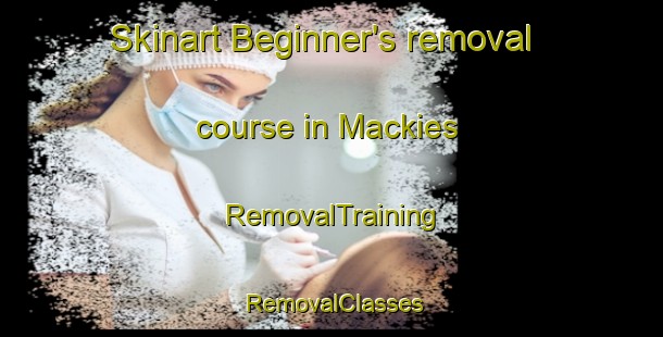 Skinart Beginner's removal course in Mackies | RemovalTraining | RemovalClasses | SkinartTraining-Canada