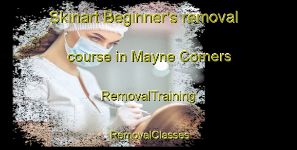Skinart Beginner's removal course in Mayne Corners | RemovalTraining | RemovalClasses | SkinartTraining-Canada