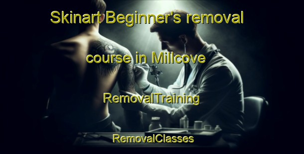 Skinart Beginner's removal course in Millcove | RemovalTraining | RemovalClasses | SkinartTraining-Canada