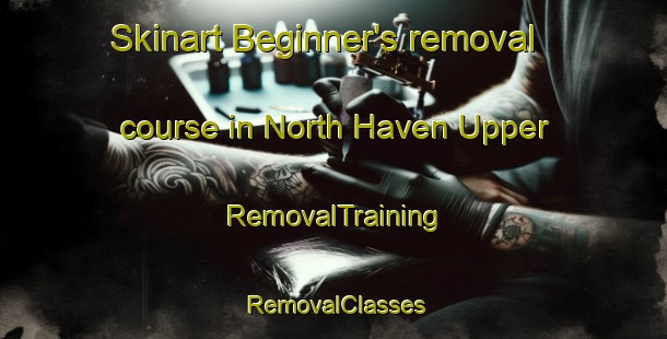 Skinart Beginner's removal course in North Haven Upper | RemovalTraining | RemovalClasses | SkinartTraining-Canada