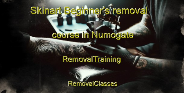 Skinart Beginner's removal course in Numogate | RemovalTraining | RemovalClasses | SkinartTraining-Canada