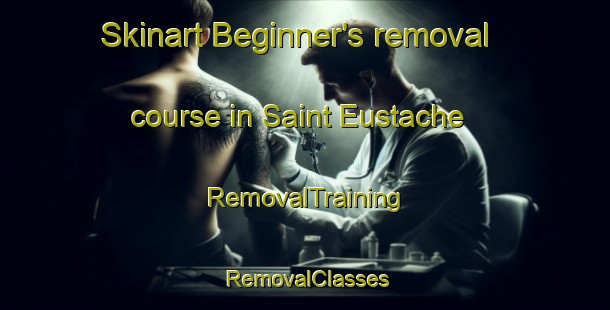 Skinart Beginner's removal course in Saint Eustache | RemovalTraining | RemovalClasses | SkinartTraining-Canada