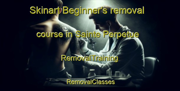 Skinart Beginner's removal course in Sainte Perpetue | RemovalTraining | RemovalClasses | SkinartTraining-Canada