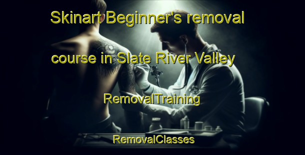 Skinart Beginner's removal course in Slate River Valley | RemovalTraining | RemovalClasses | SkinartTraining-Canada